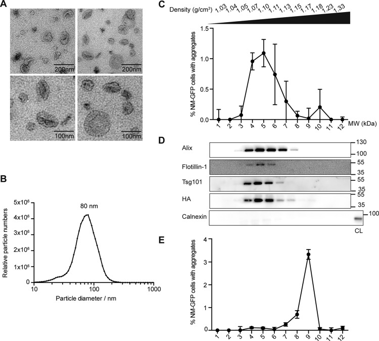 FIG 3 