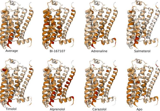 Figure 4—figure supplement 3.