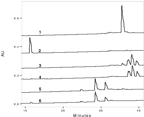 FIG. 5.