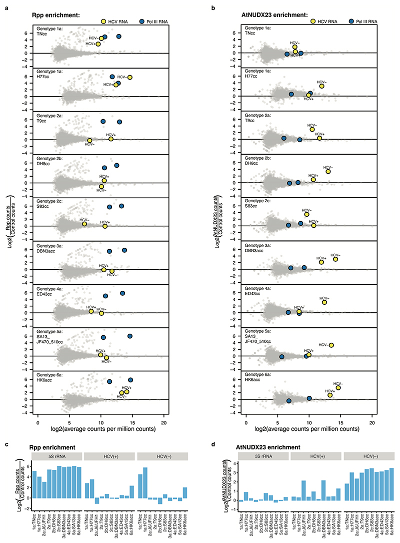 Extended Data Fig.5 |