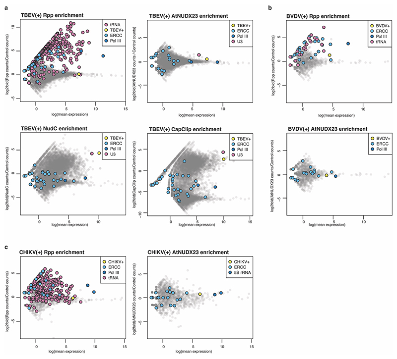 Extended Data Fig.3 |