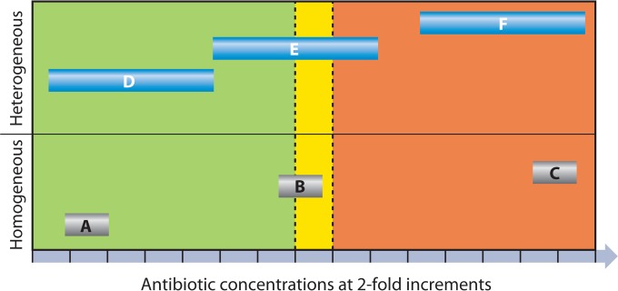 FIG 1