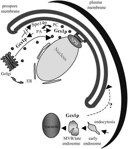 FIG. 6.