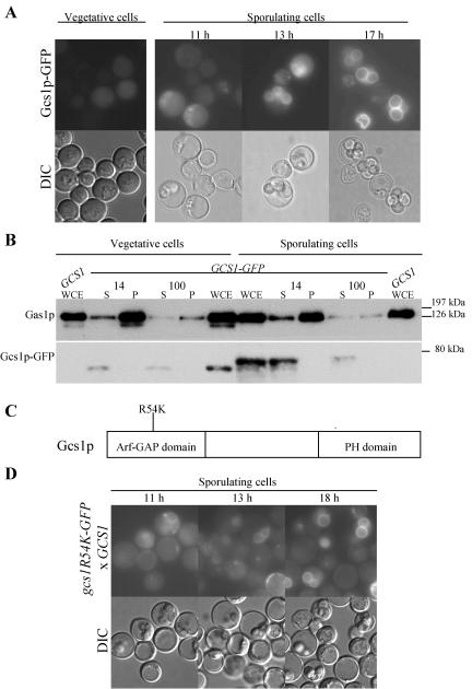 FIG. 5.