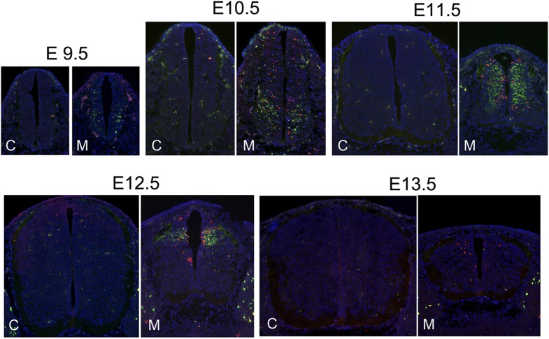 Figure 1—figure supplement 3.