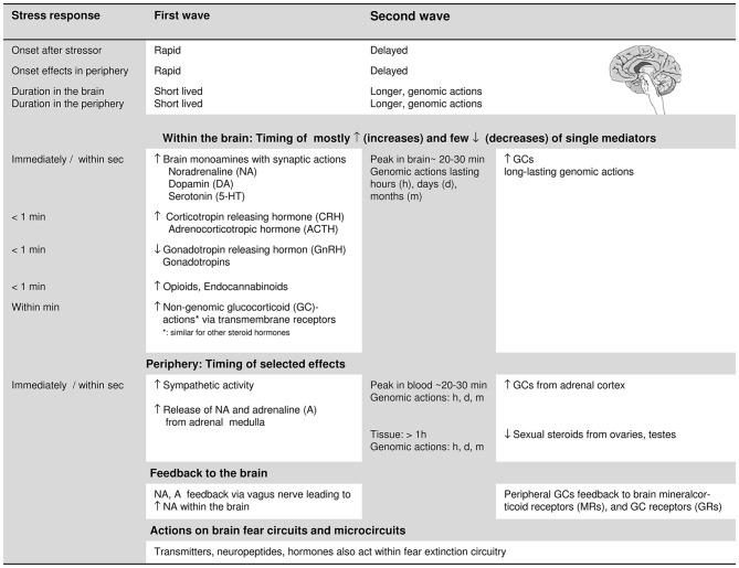 Modulation Of Fear Extinction By Stress Stress Hormones And Estradiol A Review Pmc 4986