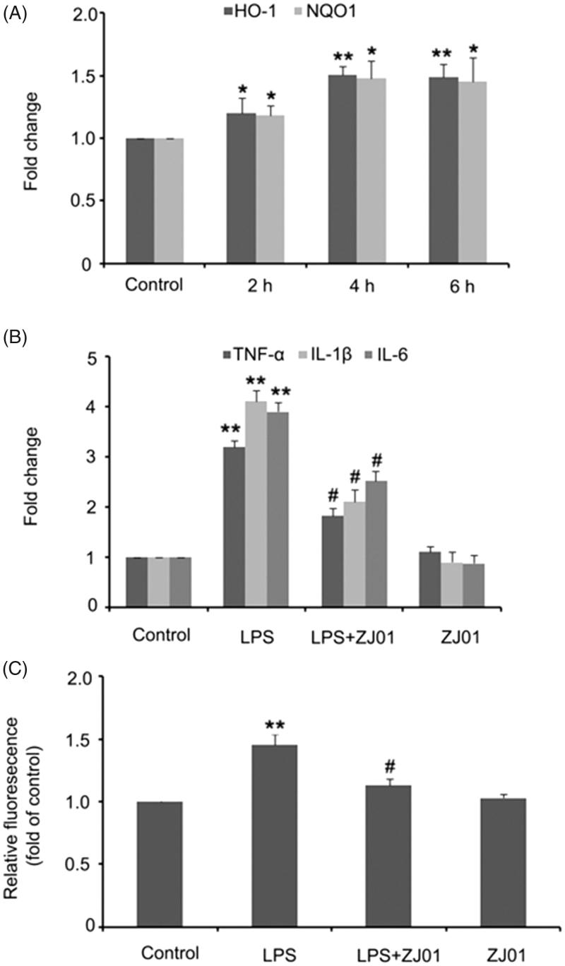 Figure 7.