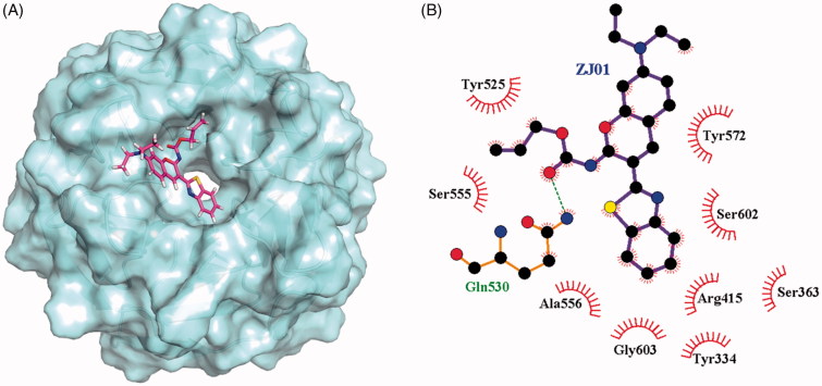 Figure 4.