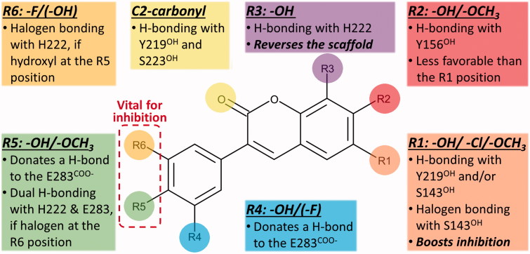 Figure 5.