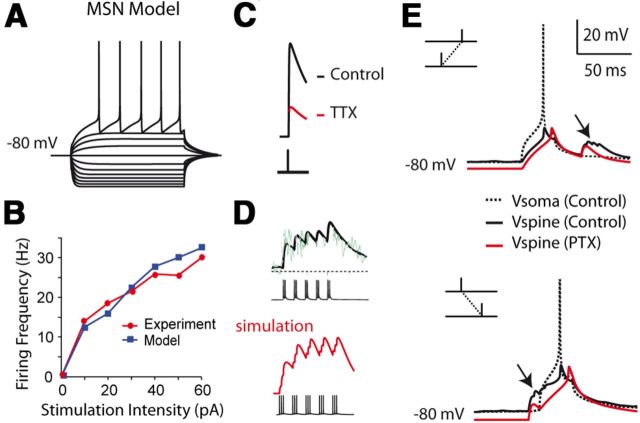 Figure 5.