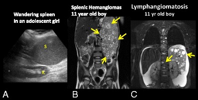 graphic file with name 247_2013_2638_Figcz_HTML.jpg