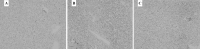 Fig 7