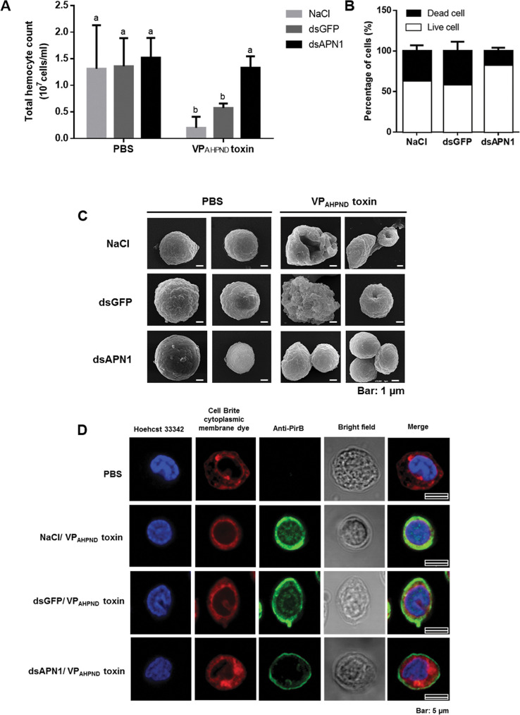 Fig 4