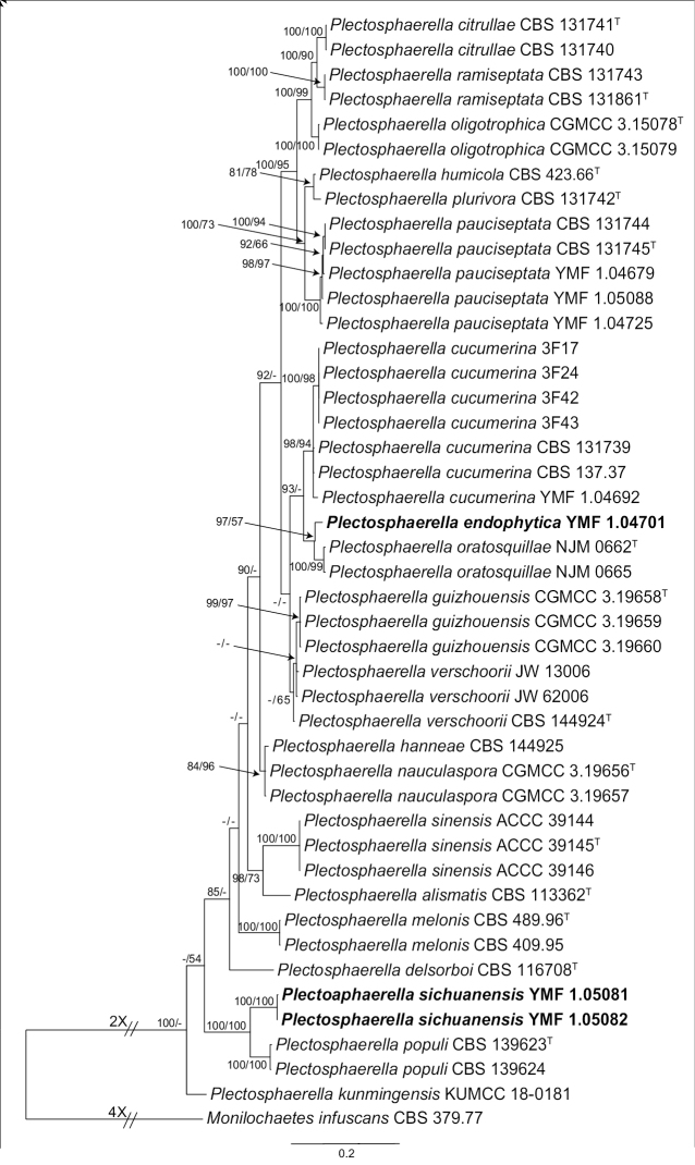 Figure 2.