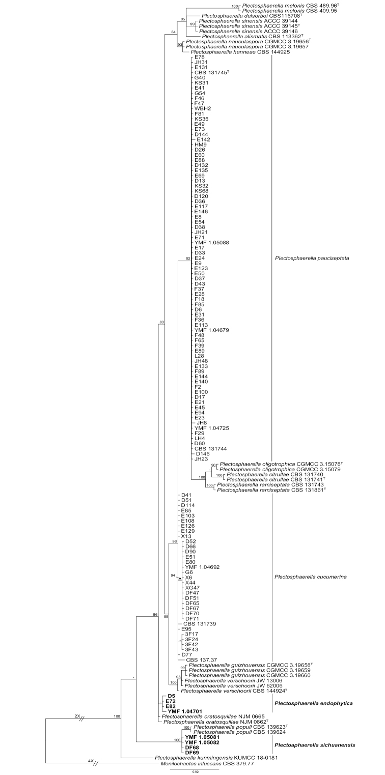 Figure 1.