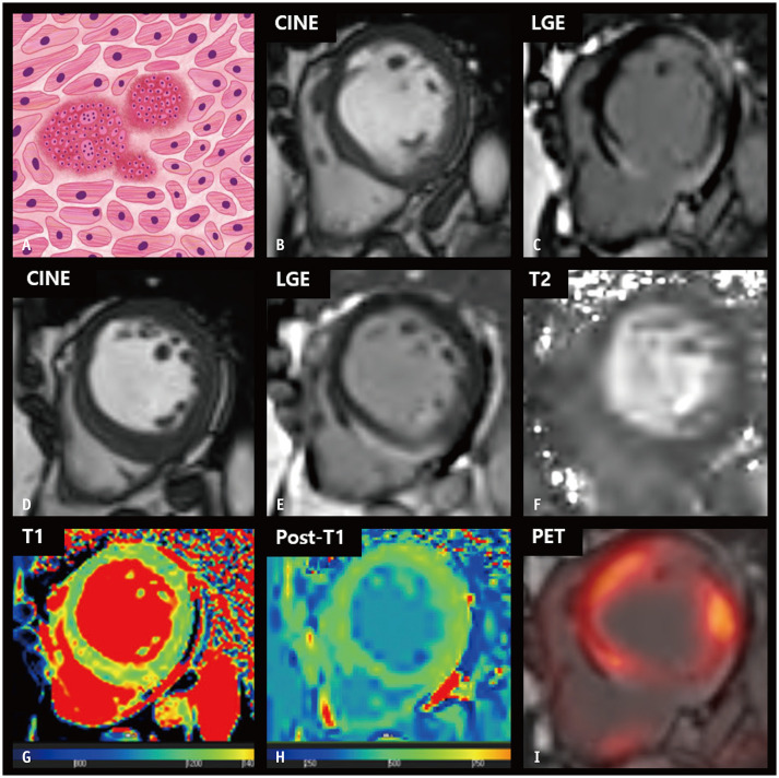 Fig. 8