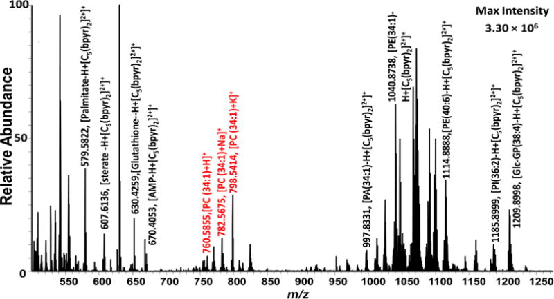 Figure 3