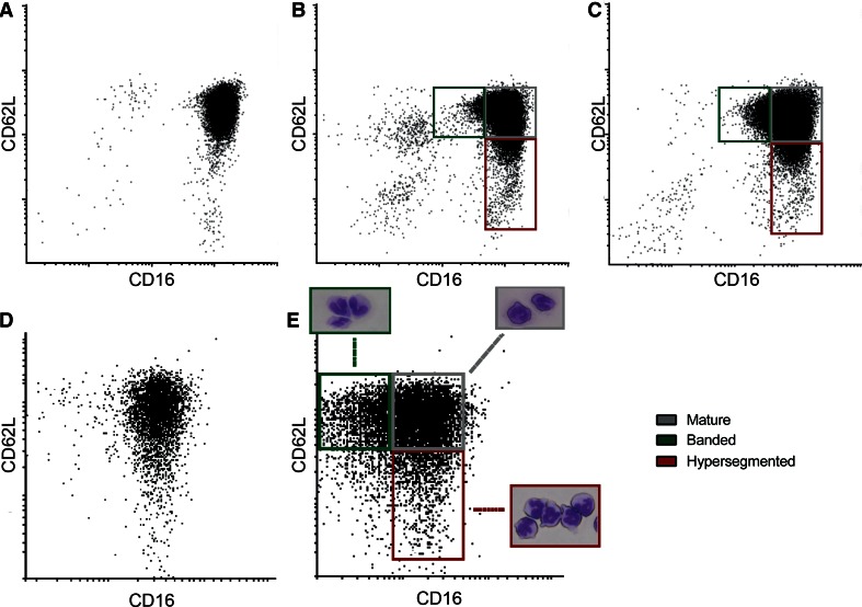 Fig. 3