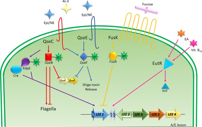 FIG 2