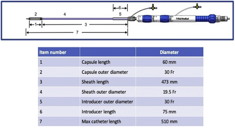 Figure 3