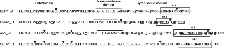 FIG 1