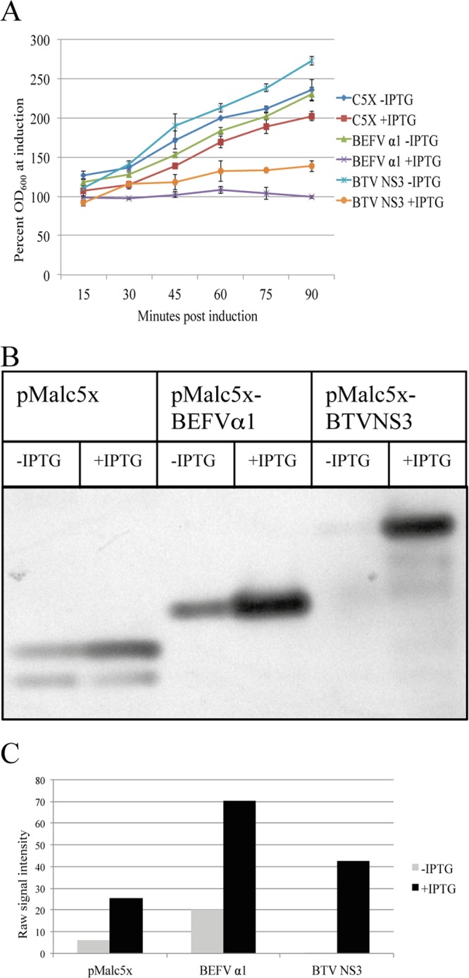 FIG 3