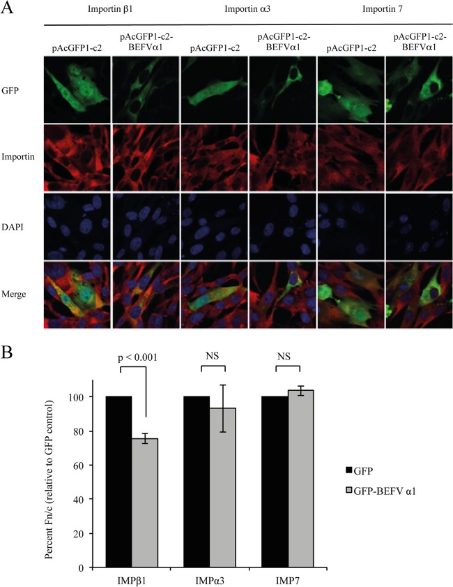 FIG 10