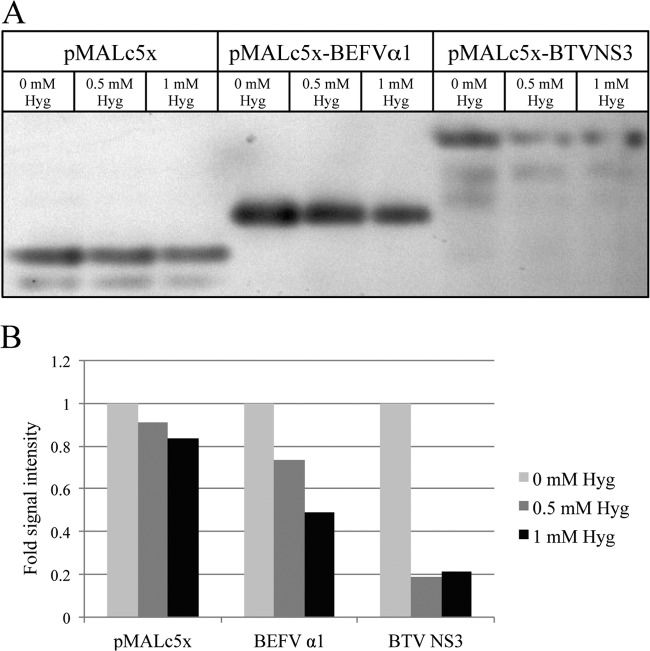 FIG 4