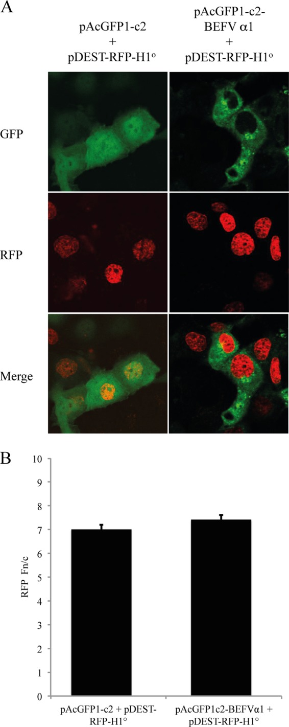 FIG 11