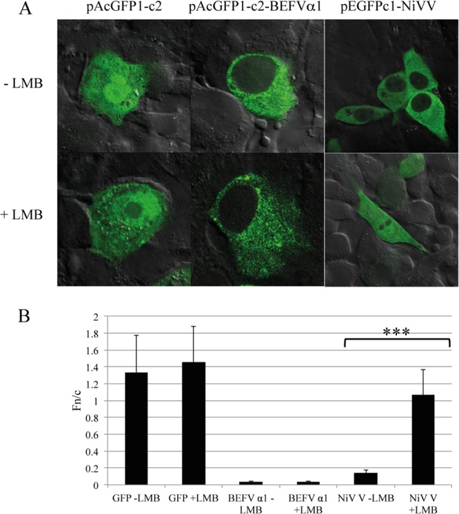 FIG 7