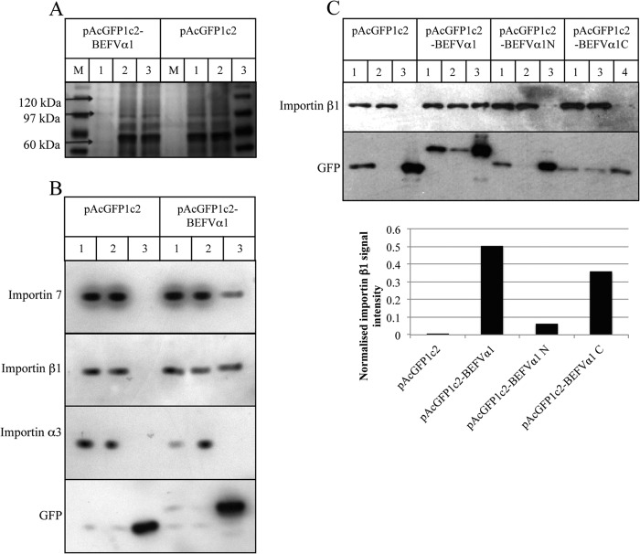 FIG 9