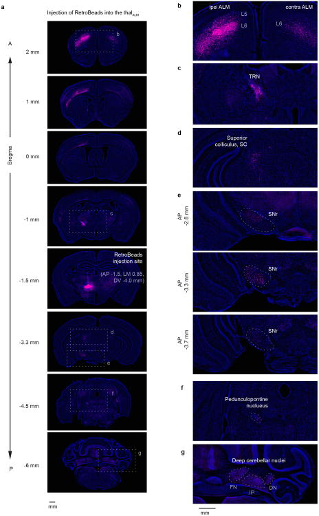 Extended Data Figure 9