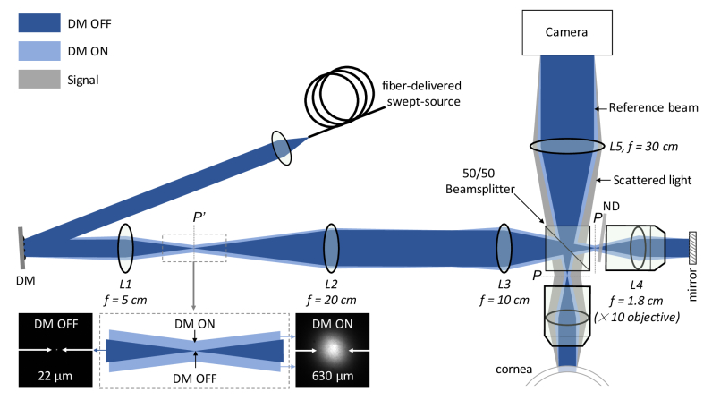 Fig. 1.