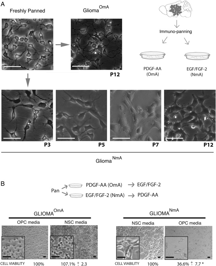 Fig. 4.