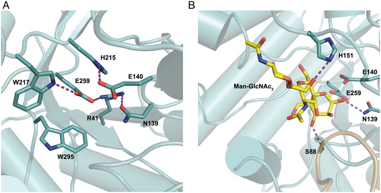 Fig 5