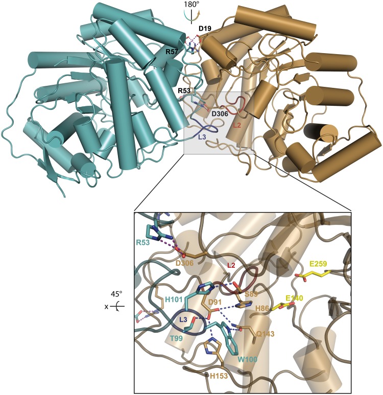 Fig 6