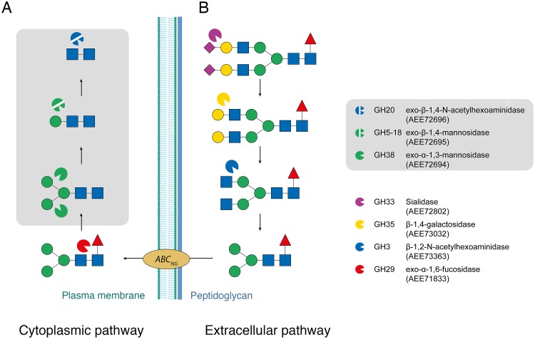 Fig 3