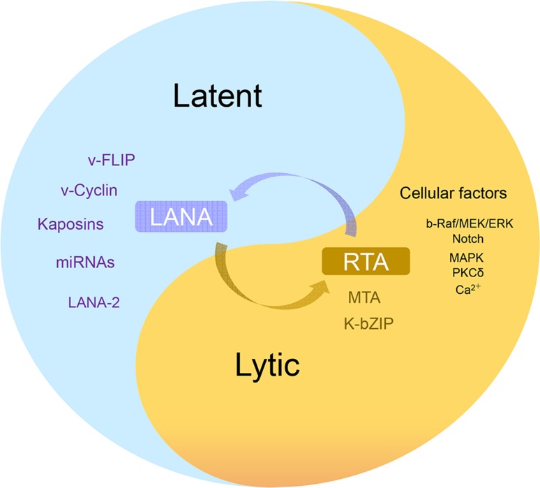 Fig. 3