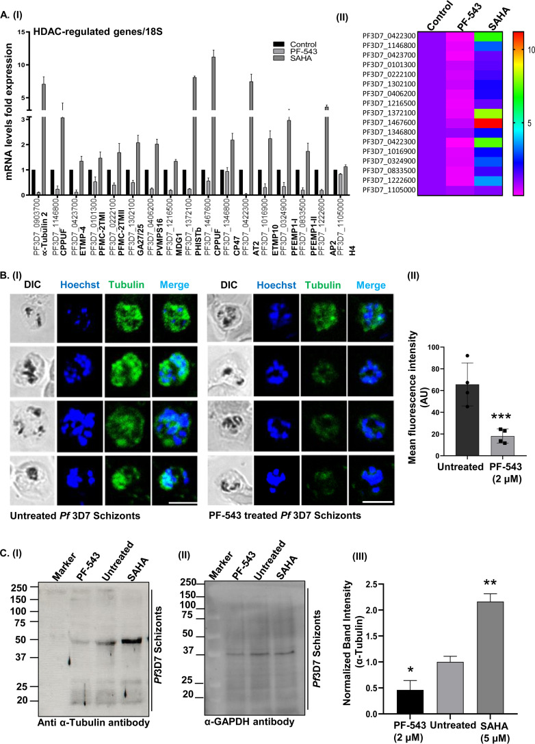 FIG 6