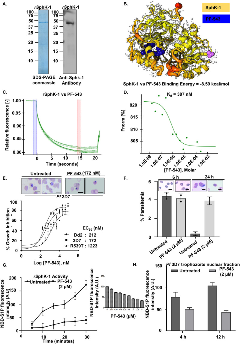 FIG 3