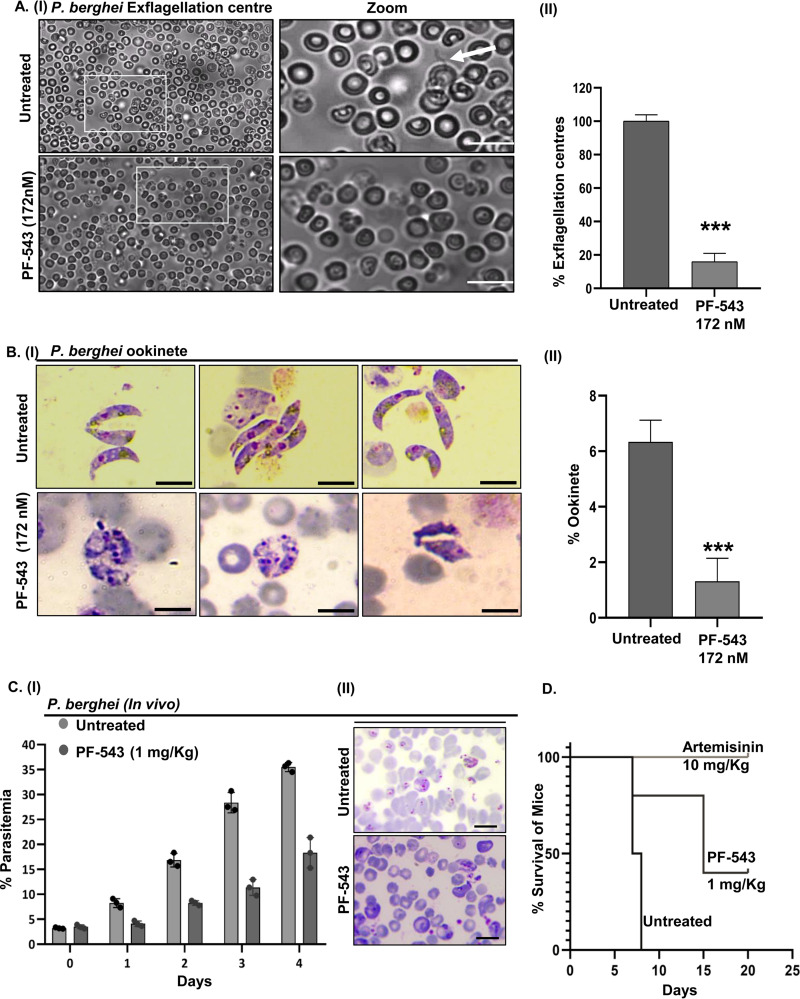 FIG 8