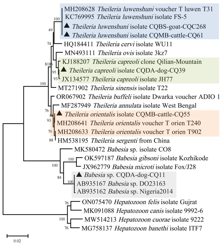 Figure 6