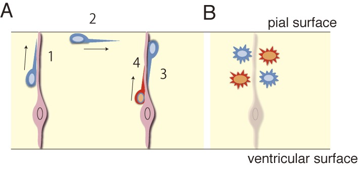 Figure 8. 