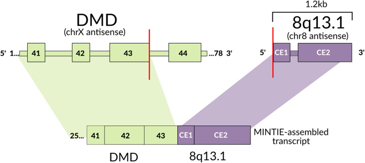 Fig. 6