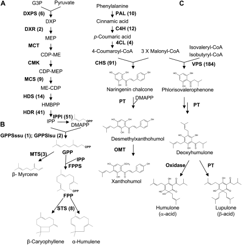 Figure 3.