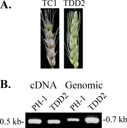 FIG. 6.