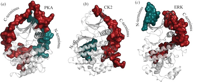 Figure 4.