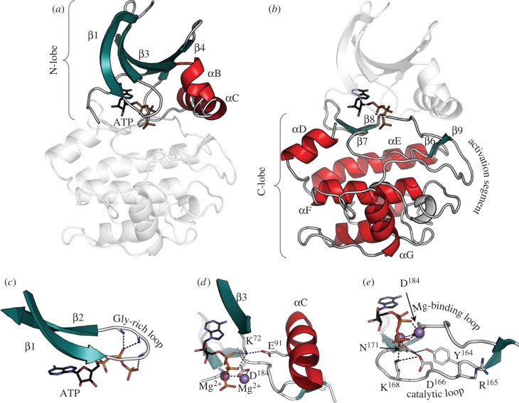 Figure 1.