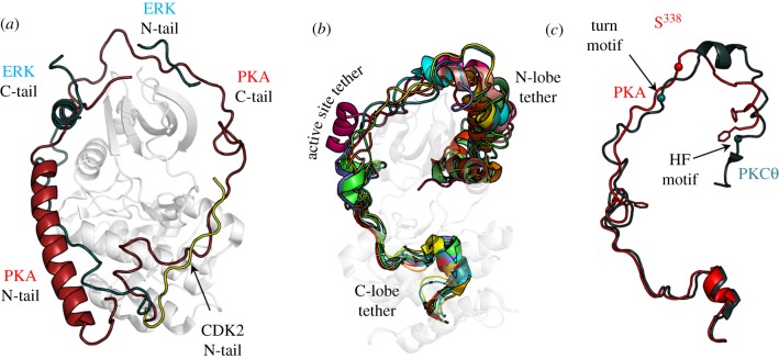 Figure 5.