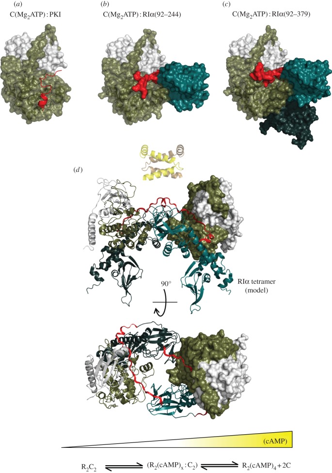 Figure 7.